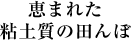 恵まれた粘土質の田んぼ